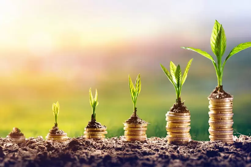 Tranquilidad Financiera