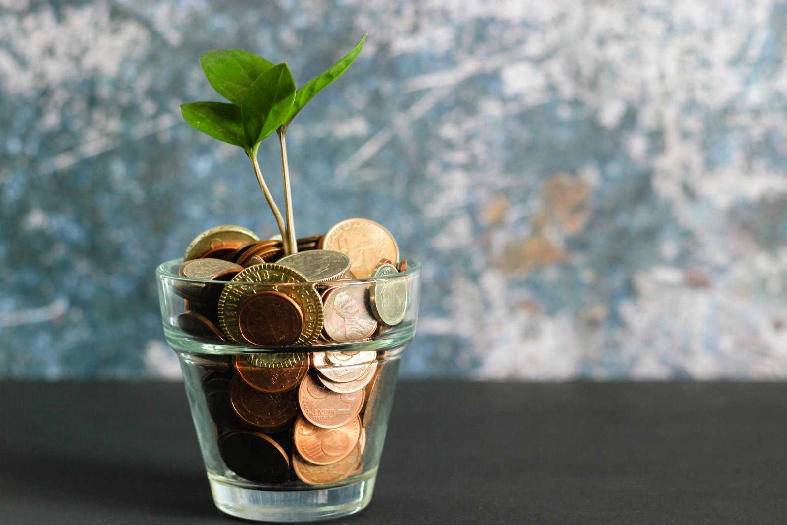 Planta con monedas dentro despues de usar sistema optimo de ahorro